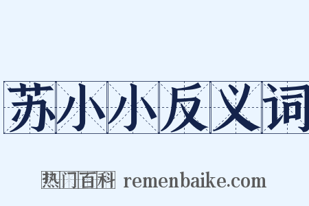 苏小小反义词是什么意思的图片